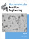 Macromolecular Reaction Engineering杂志封面